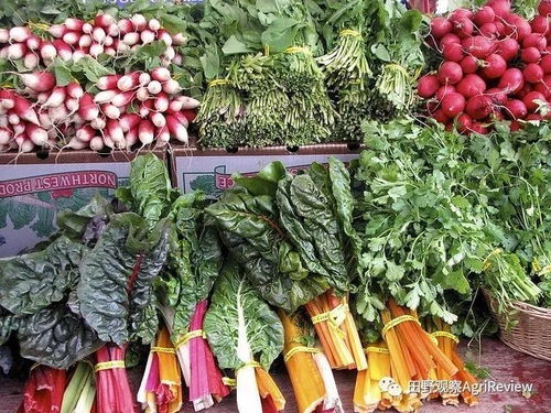 一年回本？有機(jī)模式可行？揭秘Eataly新版